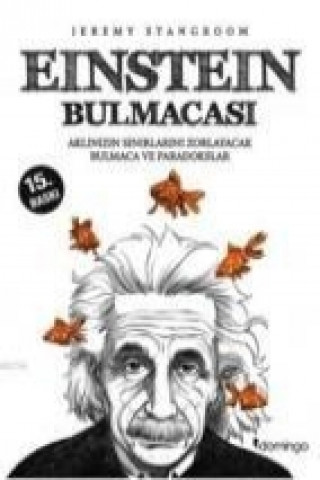 Könyv Einstein Bulmacasi Jeremy Stangroom