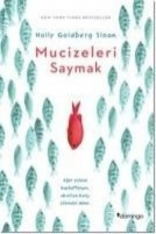 Buch Mucizeleri Saymak Holly Goldberg Sloan