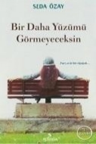 Livre Bir Daha Yüzümü Görmeyeceksin Seda Özay