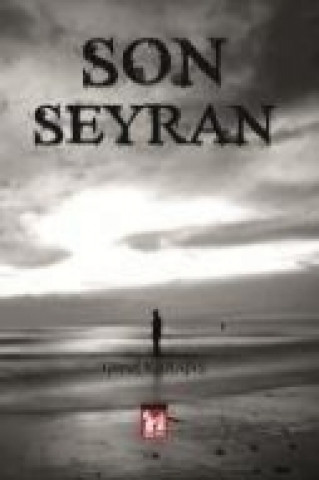 Boek Son Seyran Gürsel Karatas