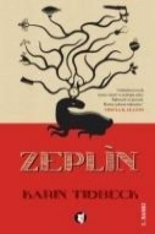 Buch Zeplin Karin Tidbeck