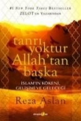 Carte Tanri Yoktur Allahtan Baska Reza Aslan