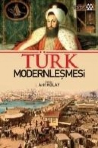 Kniha Türk Modernlesmesi Kolektif