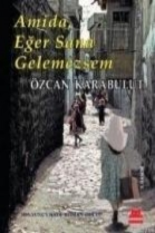 Book Amida, Eger Sana Gelemezsem Özcan Karabulut