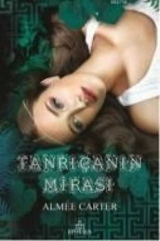 Buch Tanricanin Mirasi Aimee Carter