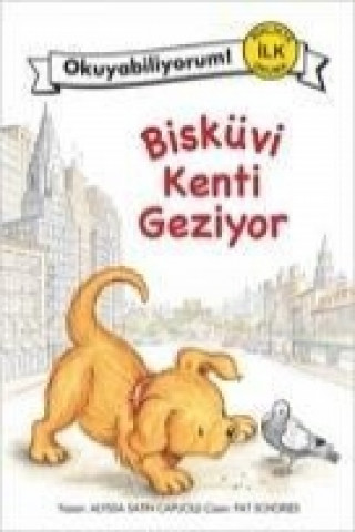 Kniha Bisküvi Kenti Geziyor Alyssa Satin Capucilli