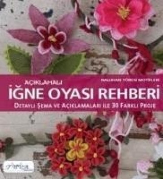 Könyv Aciklamali Igne Oyasi Rehberi Kolektif