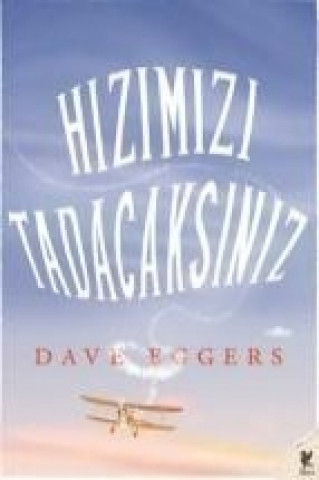 Książka Hizimizi Tadacaksiniz Dave Eggers