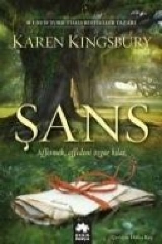 Libro Sans Karen Kingsbury