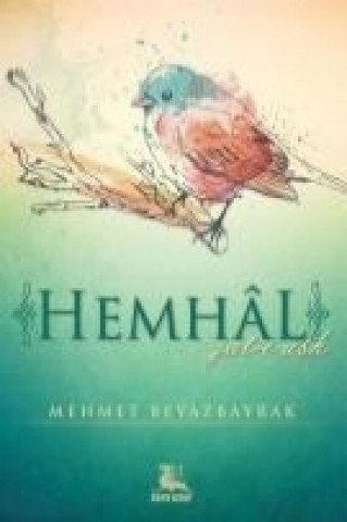 Könyv Hemhal Mehmet Beyazbayrak