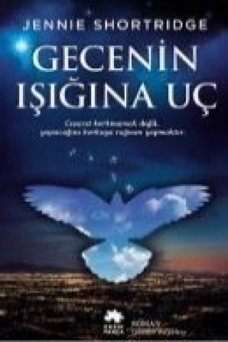 Kniha Gecenin Isigina Uc Jennie Shortridge