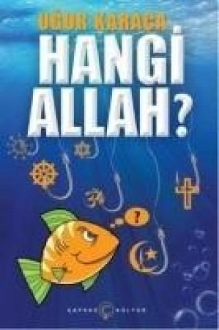 Книга Hangi Allah Ugur Karaca