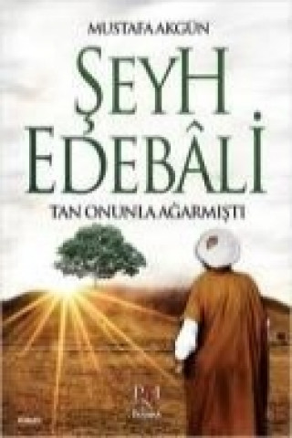 Buch Seyh Edebali Mustafa Akgün