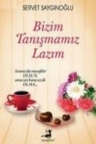 Livre Bizim Tanismamiz Lazim Servet Sayginoglu