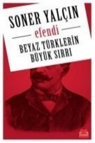 Książka Efendi - Beyaz Türklerin Büyük Sirri Soner Yalcin