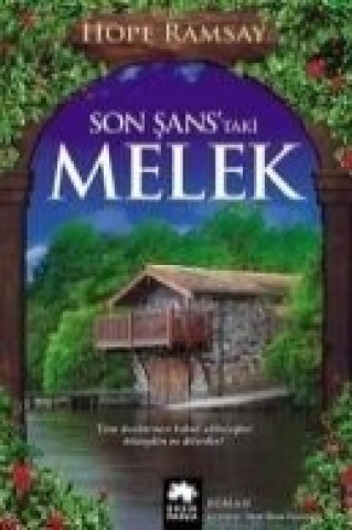 Книга Son Sanstaki Melek Hope Ramsay