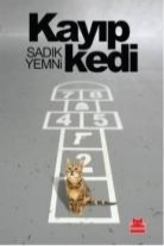 Kniha Kayip Kedi Sadik Yemni