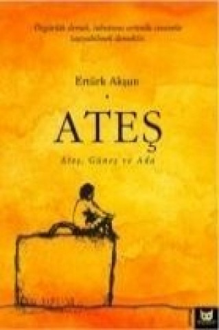 Knjiga Ates Ertürk Aksun
