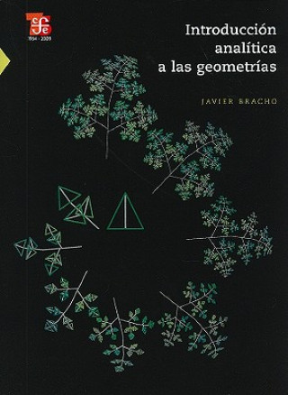Könyv Introduccion Analitica A las Geometrias Javier Bracho