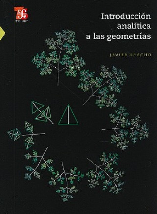 Kniha Introduccion Analitica A las Geometrias Javier Bracho