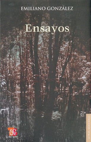 Knjiga Ensayos Emiliano Gonzalez