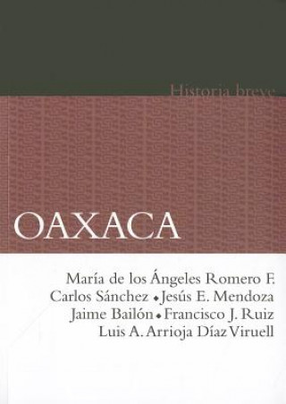 Libro Oaxaca Maria De Los Angeles Romero Frizzi