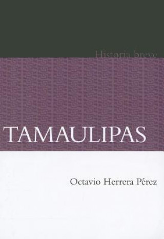 Carte Tamaulipas Octavio Herrera