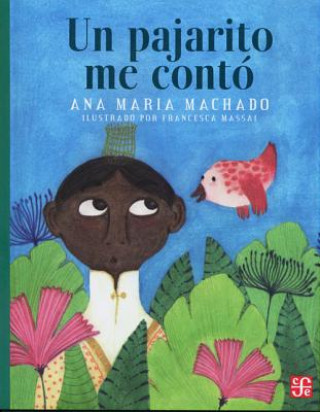 Buch Un Pajarito Me Conto Ana Maria Machado