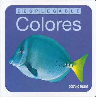 Kniha Desplegable Colores Roger And Robert Tainsh Priddy