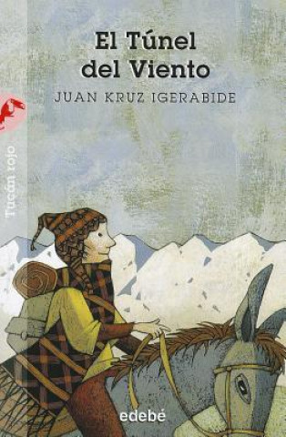 Buch El Tunel del Viento Juan Kruz Igerabide