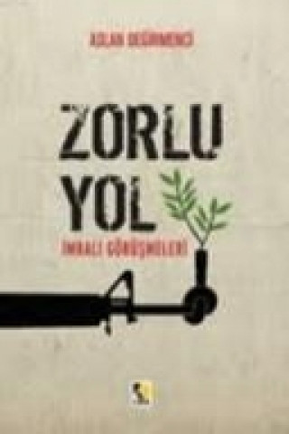 Buch Zorlu Yol Aslan Degirmenci