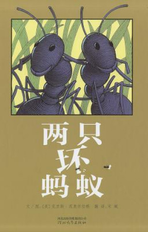 Buch Two Bad Ants Chris Van Allsburg
