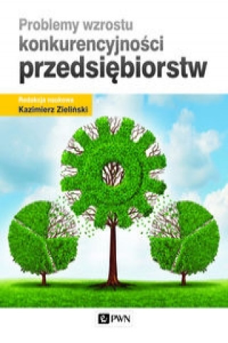 Könyv Problemy wzrostu konkurencyjnosci przedsiebiorstw 