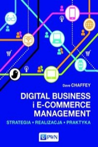 Kniha Digital Business i E-Commerce Management Dave Chaffey