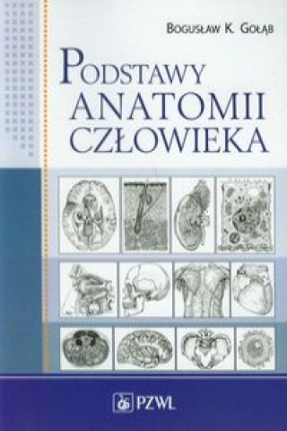 Kniha Podstawy anatomii czlowieka Gołąb Bogusław K.