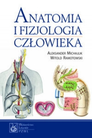 Könyv Anatomia i fizjologia czlowieka Aleksander Michajlik