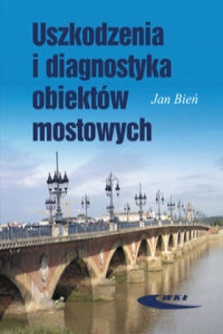 Könyv Uszkodzenia i diagnostyka obiektow mostowych Bień Jan