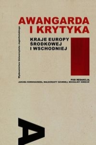 Könyv Awangarda i krytyka Kraje Europy Srodkowej i Wschodniej 