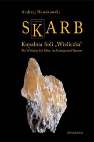 Книга Skarb Kopalnia Soli Wieliczka Nowakowski Andrzej