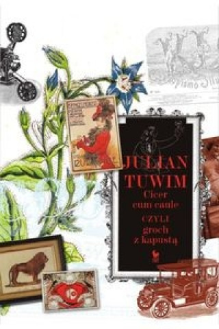 Book Cicer cum caule czyli groch z kapusta Julian Tuwim