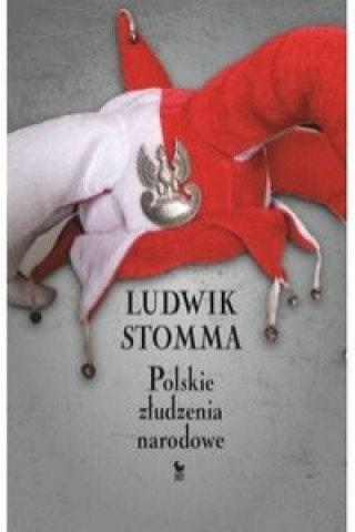 Книга Polskie zludzenia narodowe Ludwik Stomma