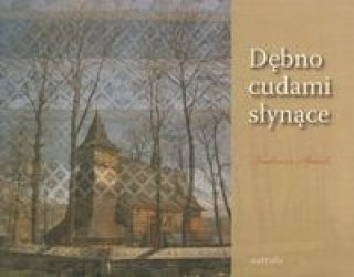 Libro Debno cudami slynace Tadeusz Staich