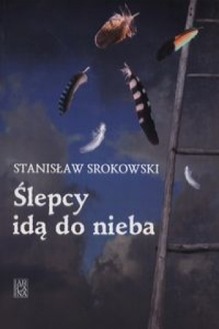 Kniha Slepcy ida do nieba Stanislaw Srokowski