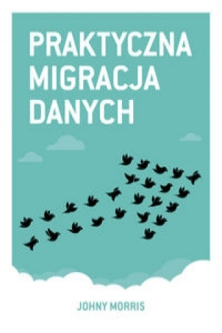 Kniha Praktyczna migracja danych Johny Morris