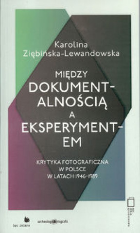 Kniha Miedzy dokumentalnoscia a eksperymentem Karolina Ziebinska-Lewandowska
