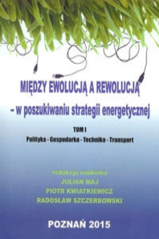 Книга Miedzy ewolucja a rewolucja - w poszukiwaniu strategii energetycznej Tom 1 
