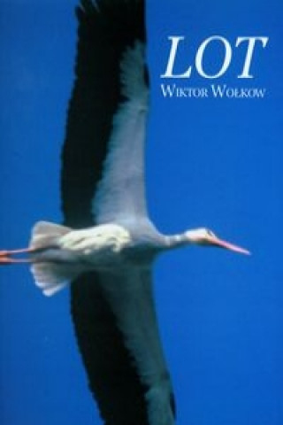 Kniha Lot Wiktor Wolkow