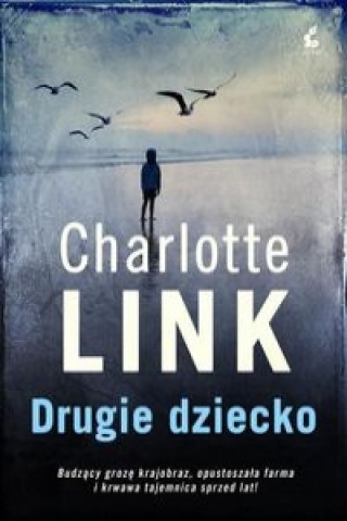 Book Drugie dziecko Charlotte Link