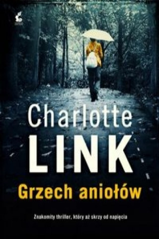 Книга Grzech aniolow Charlotte Link