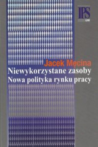 Kniha Niewykorzystane zasoby Nowa polityka rynku pracy Męcina Jacek